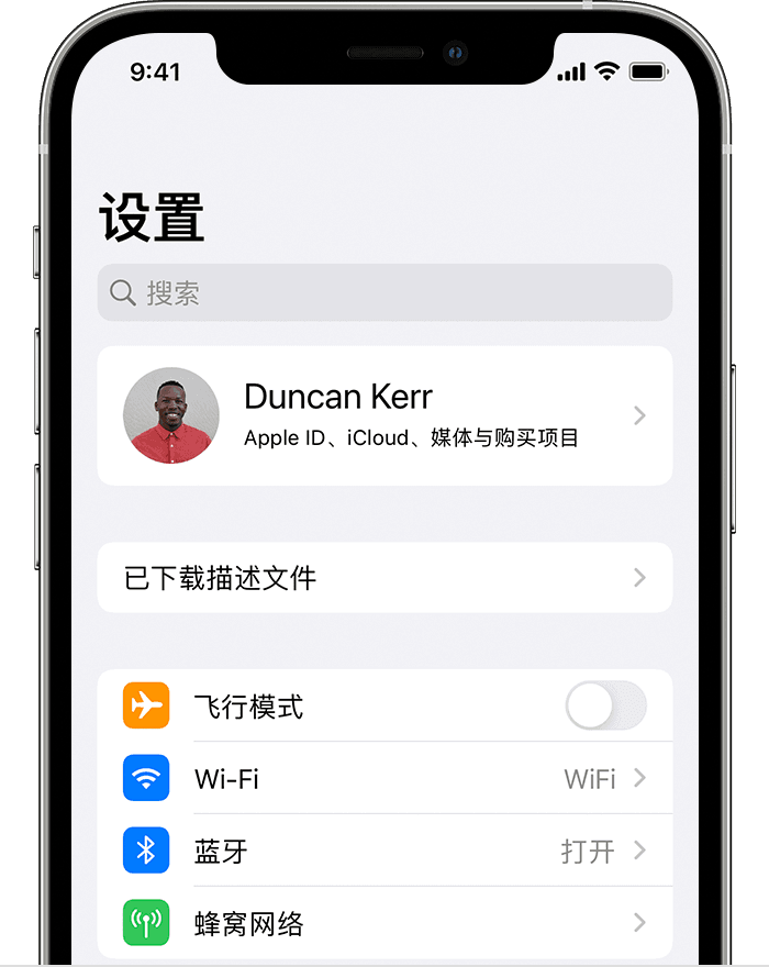 在设置中显示“已下载描述文件”的示例界面
